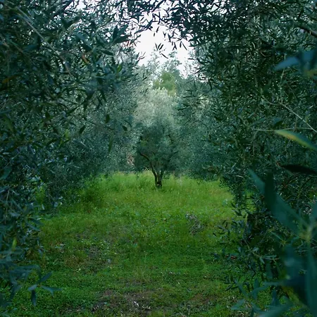 Vasiliki's شقة بساكوذيا