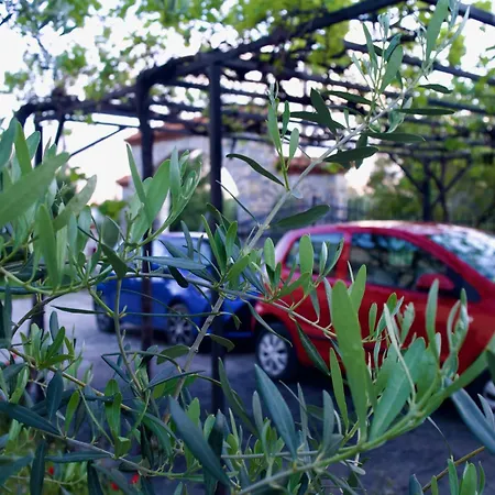 Vasiliki's Psakoudia